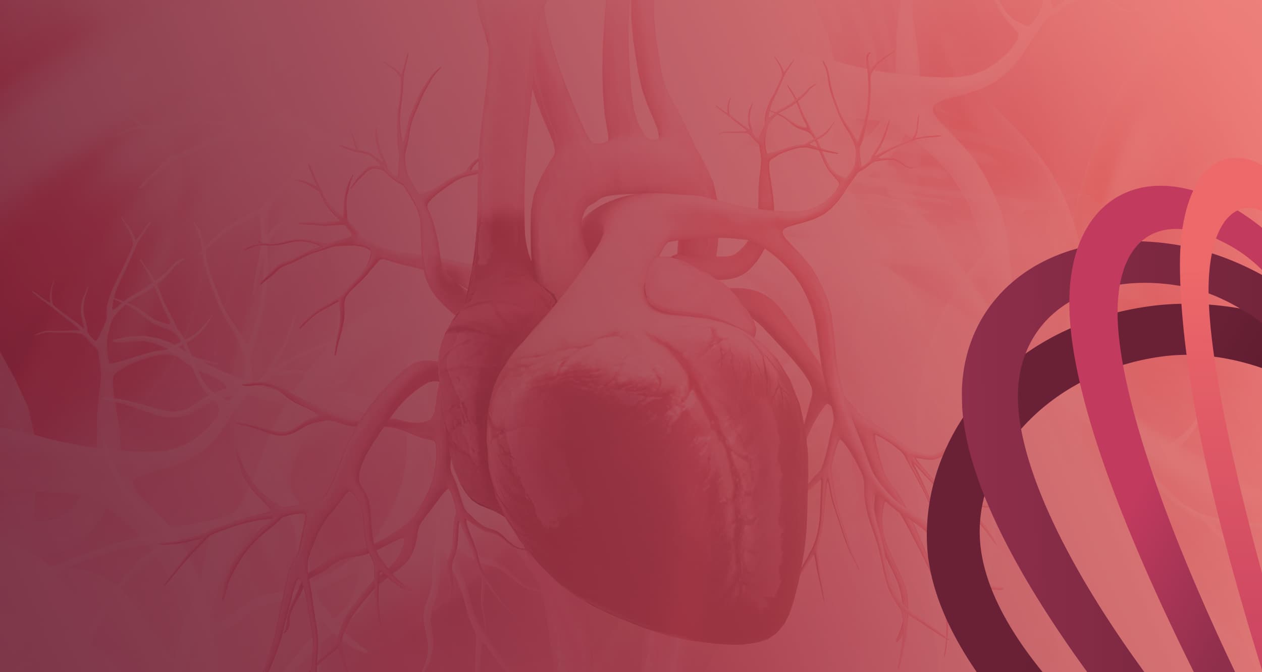 Herzinfarktregister Brandenburg Motiv Herz